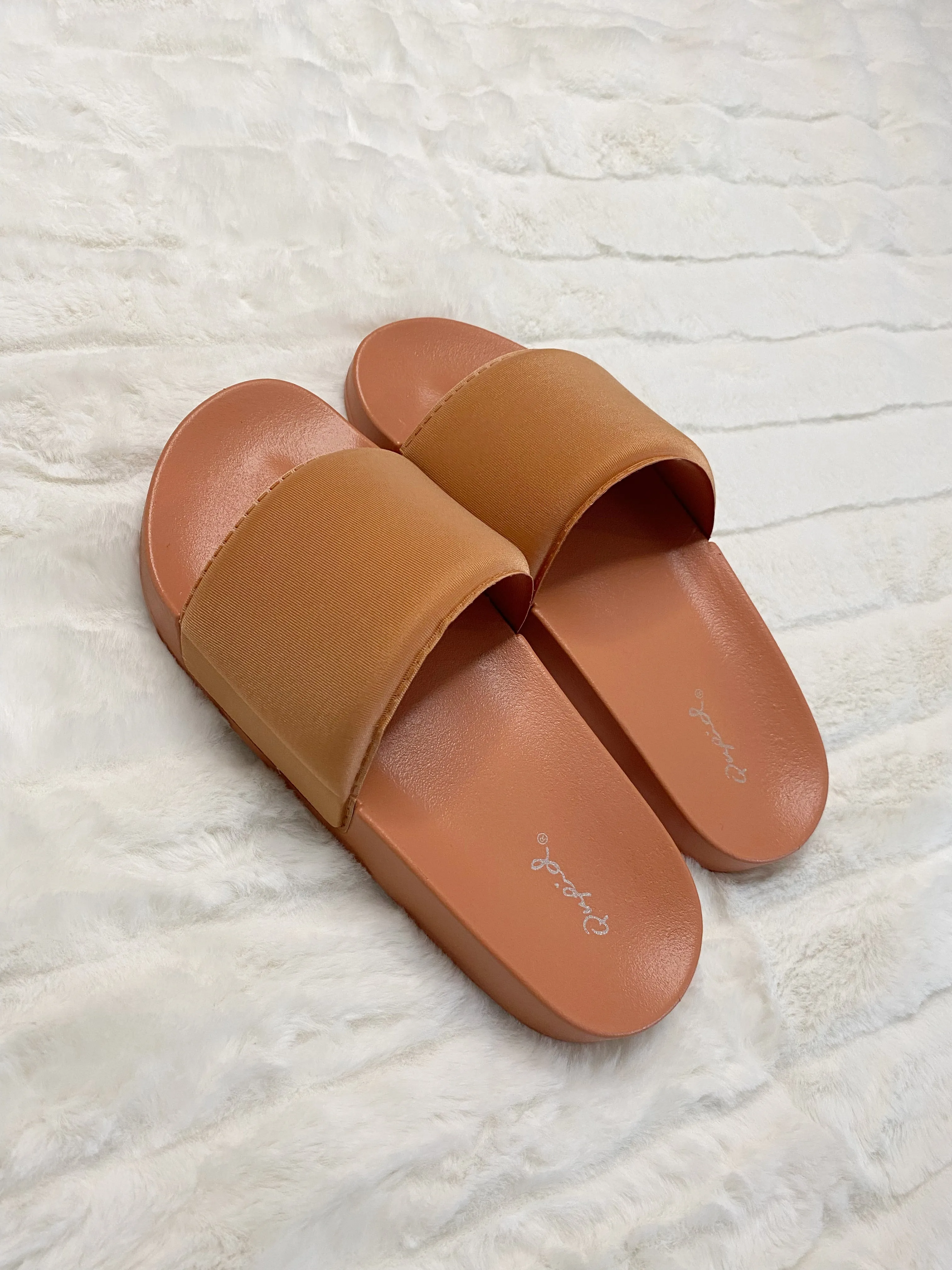 EVERYDAY SLIDES