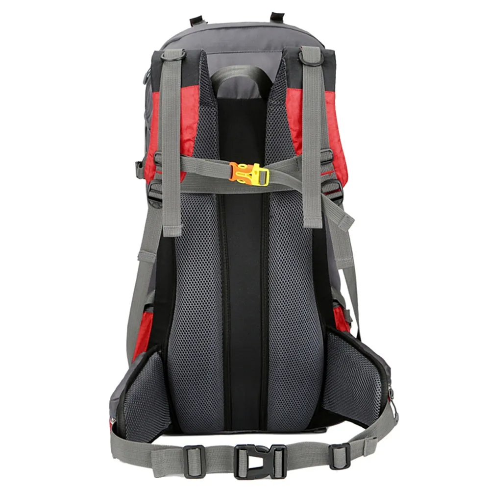 Free Knight 60L Camping Hiking Backpacks Outdoor Bag Tourist Backpacks Nylon Sport Bag For Climbing Travelling With Rain Cover